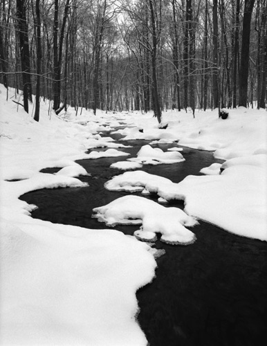 Passaic River Scherman Hoffman Sanctuary (NJ Audubon) Morris County New Jersey.jpg
